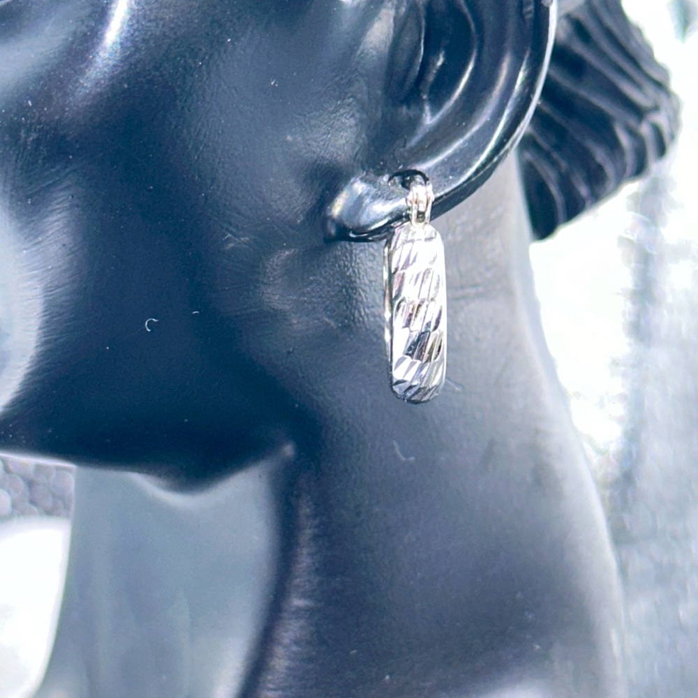 14k white gold Earrings